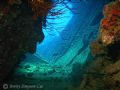 The Wreck of the Carnatic. Using Sea&Sea DX-8000G with YS25 Strobe. Shot on the 29th May 2006.