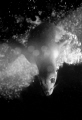 The Curious Sea Lion / Shot on film on my Nikonos V, this is the first analog image I've taken that I am truly in love with. No strobes or external light, just the sun.

Shot in about 20ft of water under the oil rigs off San Pedro.