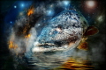 Space-time gate