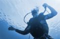 Blue Diver / A simple shot from below with some work in Photo Plus.