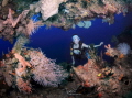 I can see a diver who loves diving.