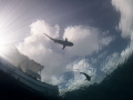 A perfect day to shoot sharks silhouettes in Yap: calm, sunny, clear waters.