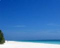 Pamilacan Island. Beautiful resort. Seen Sharks, Baracudas, Lobsters, Turtles, Guitar Stingray all in one dive! Snorkling on the main beach you will have turtles, juvenile sharks and lobsters.