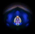 IN TRANCE
Cuthona Sibogae Nudibranch