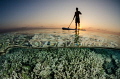 This photo was taken on a house reef in the Maldives, in an attempt contrast the beauty at the surface and the devastation of the coral bleaching below. It's hopefully an alarming, appealing and educational photo at the same time.