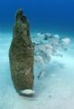 School of fish at Treasure Wreck. Taken with Nikon D70 in Sea & Sea housing with YS120 Strobe.