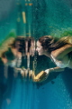 Miroir Miroir