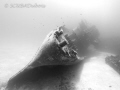 The USS Kittiwake has a ghostly feeling in black and white.  I love this wreck in Grand Cayman and continue to dive it every time I am there.
