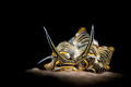Butterfly in the dark