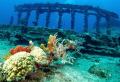 The exquisite columns left by the RMS Rhone