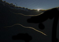 Pipefish out swimming in the sunset