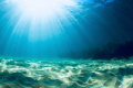 Sun rays/ The beautiful, vast sandy bottom.