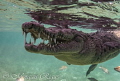 Ever hear the joke about the crocodile going to the dentist?