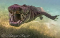Meet Nino the friendly American Crocodile, this guy came below the surface to say hi to my camera lens