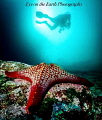 Taken in Galapagos with a Olympus OM-D-EM1 in a Nauticam housing, Olympus 7-14 Pro Lens and Sea & Sea YS-D2 strobes