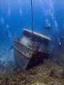 Another look at The Mr. Bud. Roatan, Bay Islands. Fuji F810, Inon WA, ambient light.