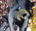 Moray eel between sleeping young white-tip sharks