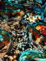 Macro photo - Close up of a giant clam, I was drawn to the incredible natural colours and lines.  Taken In the Komodo National park using Olympus Tg4 and Olympus housing.