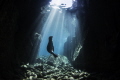 LA Paz, Los Islotes in Mexico. A protected sea lion colony. Here is a sea lion pup playing in a cave under the sun beams.