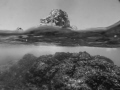 Twin Peaks - black&white