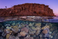 The best of 2 worlds, Sharm El Sheiklh: below and above.