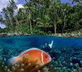 Kilang Beach, Soutern Molluca, Indonesia. Molluca province is located in eastern Indonesia, and considerably in of the best dive area in Indonesia.
