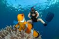 Yuhu..ride a nemo