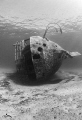 kaptan ismail hakki wreck -canon-greece-