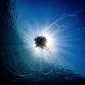 First shot with my Olympus M1 Markiii. No flash, the yellyfish just twisted around above me and the sun was perfect.