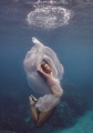 We are made of layers, cells, constellations. 
- Anaïs Nin
Wonderland #2
Photographed in Maui, Hawaii