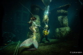 This shot was taken in an indoor dive site in Beringen, Belgium. Bringing together a team and deal with the logistics was quit a challenge on itself.
The shoot was done on April18, 2022
