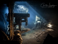 Location: THE CHRISOULA K
Olympus OMD-EM5,
Nauticam Housing
Inon z240 x2
Copyright all Rights reserved. Mandatory credit with image use: © 2022 Christian Llewellyn.