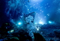 I captured this image while diving with Manta Rays on Big Island, Hawaii