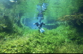 My fathers first snorkel image taken by me on Nikon Camera.