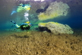Crystal clear mountain lake