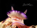 I am James. I am a junior divemaster
