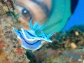 Beauty in the eyes of the beholder!