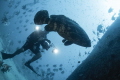 A diver photographs a giant grouper with school of fishes behind.