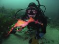 Diving with a 
