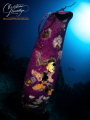 Exploring inside the Heian Maru in Chuuk Lagoon feels like stepping into history itself. Once an elegant passenger liner, later converted into a Japanese submarine tender during WWII.