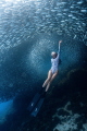 in the arms of the underwater world
