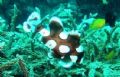 photo taken at phuket