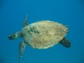 photo taken at tioman