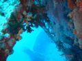 this emage taken by abdel wahab maita
at ceder pride in aqaba.sony-cyber-shot