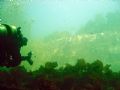 Diver with surface and sky background.