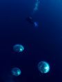 The reflex of the diver in the bubbles.