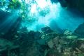 Choc-Mool Cenote near Playa Del Carmen, Mexico. Nikon D2x with Nikkor 12-24 ED and dual S&S strobes.