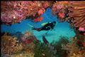 It was the first dive ever on this reef, which we had just discovered recently. When I came across this rock formation, I had one of the divers in my group ad lib and pose as a model.