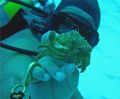 This was our Divemaster (Mario) in Cozumel. Thanks for all the great diving Mario.