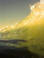 wave